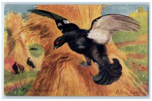 c1910's Black Game Scene Field Oilette Tuck's Unposted Antique Postcard