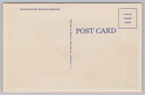 Linen~Asheville North Carolina~Appalachian Hall @ Night~Vintage Postcard