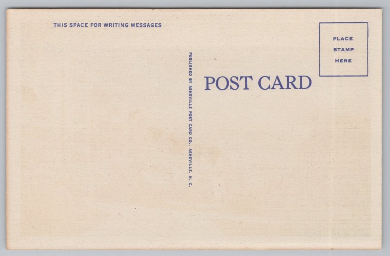 Linen~Asheville North Carolina~Appalachian Hall @ Night~Vintage Postcard