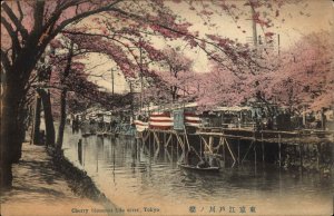 Tokyo Japan Cherry Blossoms Edo River c1910 Vintage Postcard