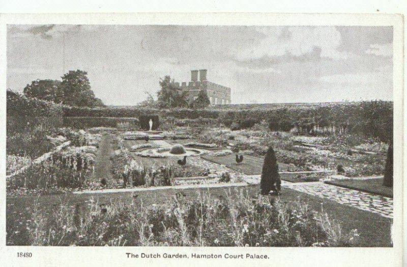 Middlesex Postcard - Hampton Court Palace -The Dutch Garden - Ref 10832A