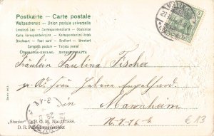 Couple Holding Hands in Forest 1904 embossed postcard