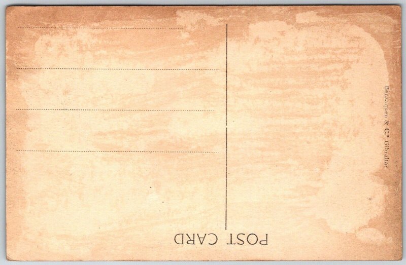 GIBRALTAR c1910 Postcard South View Of Town