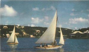 Hamilton Harbour 1950s Sailboats Postcard 3082