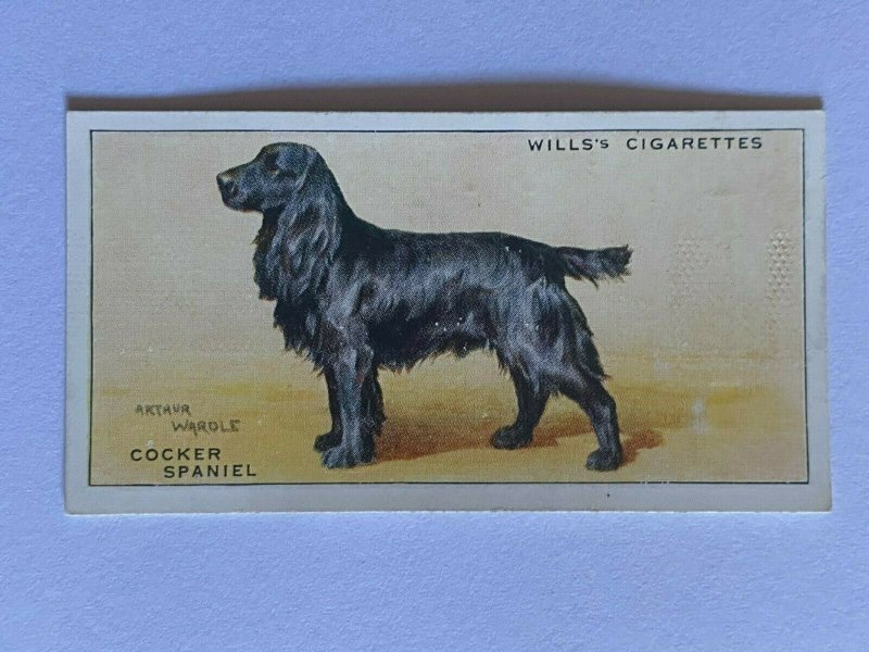 CIGARETTE CARD - WILLS DOGS #33 COCKER SPANIEL    (UU186)