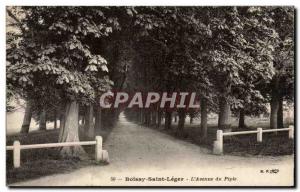 Boissy-Saint-Léger - L & # 39Avenue of Piple Old Postcard