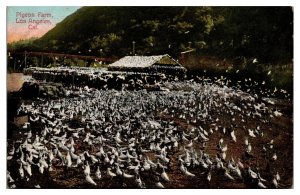 Antique Pigeon Farm, Agriculture, Birds, Los Angeles, CA Postcard