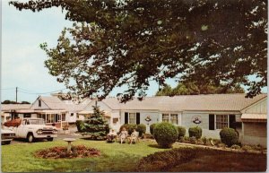 Woodbridge NJ Dutch Motel Unused Postcard G97