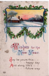 US    PC1411  WISHES FOR THE NEW YEAR  1913