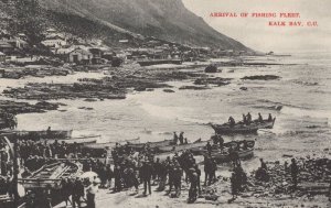 Arrival Of Fishing Fleet Kalk Bay South Africa Boats Antique Rare Postcard