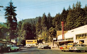 Monte Rio California Shopping District, Photochrome Vintage Postcard U6975
