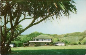 Cullen's Cooper Ranch Inn Hauula Oahu HI Hawaii Unused Irving Rosen Postcard F74
