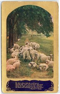 postcard Sheep in pasture with Charles F. Deems poem