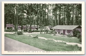 Briarcliffe Motor Hotel North Myrtle Beach South Carolina SC Tall Trees Postcard