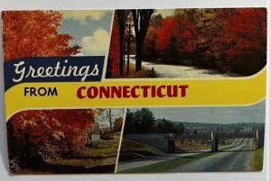 Vintage Postcard Greetings from Connecticut 07.46