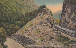 New Hampshire White Mountains Train Entering Crawford Notch