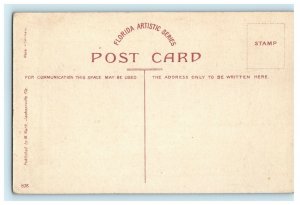 c1910 January Train Through Orange Groves Florida FL Unposted Antique Postcard 