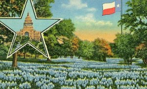 Postcard Texas State Capitol, Flag and Blue Bonnet Flowers.     U2