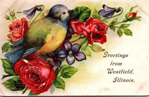 Illinois Greetings From Westfield With Red Roses 1910