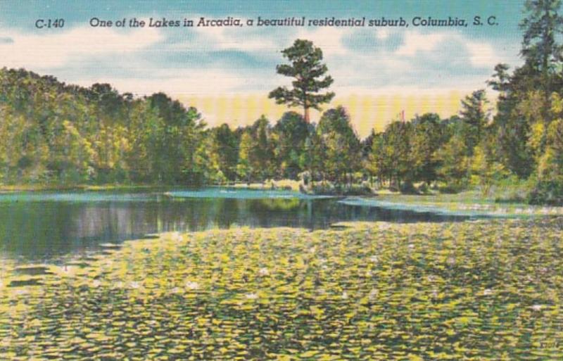South Carolina Columbia One Of The Lakes In Arcadia Residential Suburb