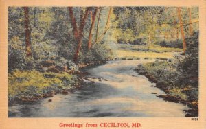 Cecilton Maryland Greetings River Scenic View Vintage Postcard AA87354