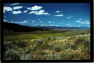 Big Hole Battlefield Nez Perce, Chief Joseph Montana Postcard