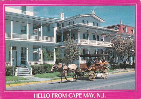 New Jersey Greetings Hello From Cape May Victorian Architecture & Horse D...