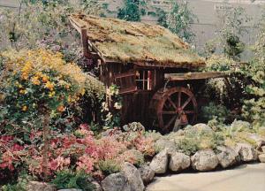 Canada British Columbia Vancouver Queen Elizabeth Park Bloedel Conservatory M...