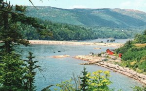 Acadia National Park Maine ME, Otter Cove, Shoreline, Nature, Vintage Postcard