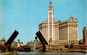 Illinois, Chicago - Wrigley Building - [IL-227]