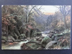 Ireland Co. Wicklow ON THE DARGLE Art by E. Longstaffe c1904 - Old Postcard