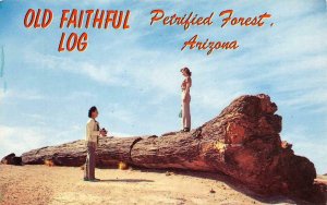 OLD FAITHFUL LOG Petrified Forest, Arizona Photographer c1950s Vintage Postcard