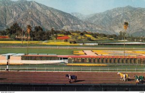 Horse Race Track , Santa Anita , ARCADIA , California , 1950-60s ; Version-2