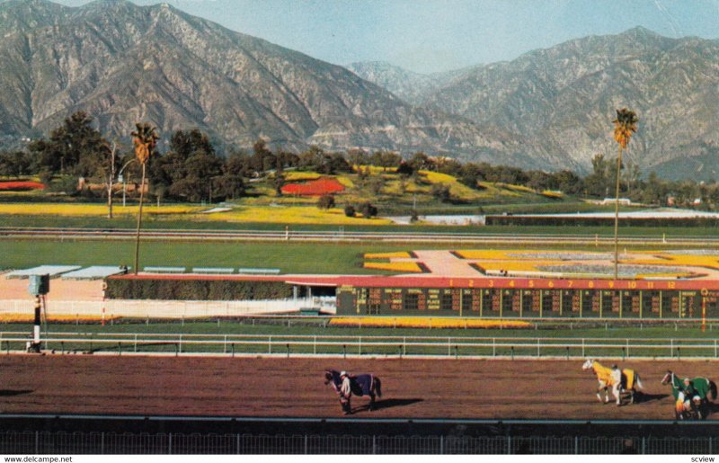 Horse Race Track , Santa Anita , ARCADIA , California , 1950-60s ; Version-2