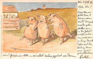 Dancing Pigs Austria Postal Used Unknown 