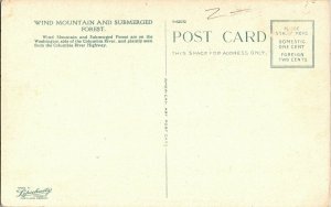 Wind Mountain Submerged Forest Columbia River Washington Vintage Postcard UNP 
