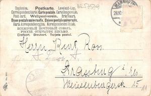 BR57579 dog chien chat cat animals