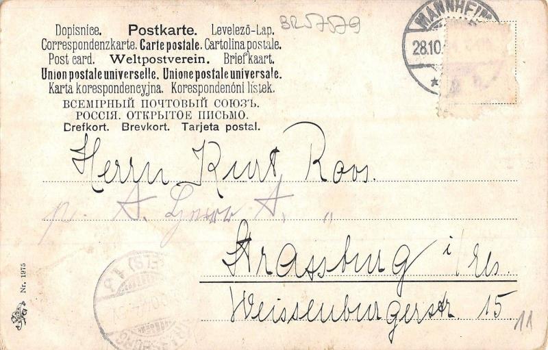 BR57579 dog chien chat cat animals