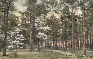 Deer Park at Pinehurst NC, North Carolina - pm 1916