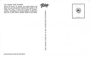 The Desert Road Runner View Images 