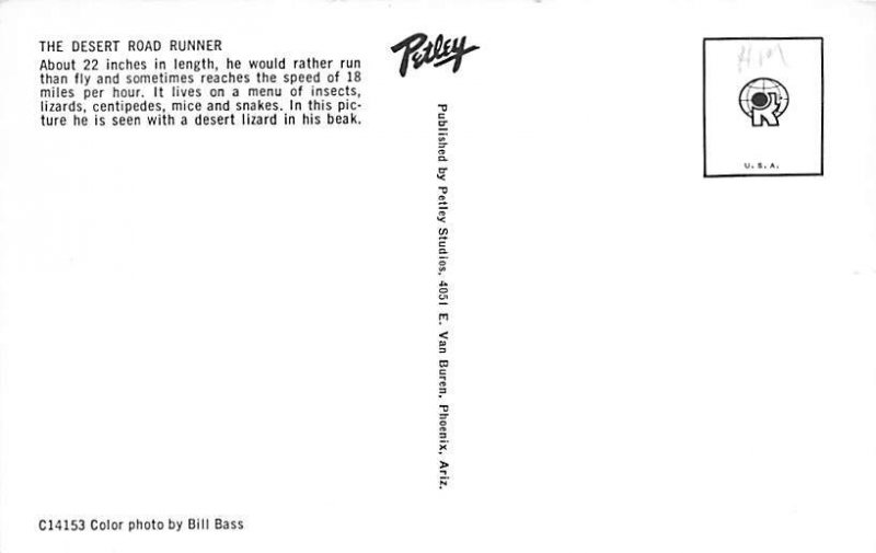 The Desert Road Runner View Images 