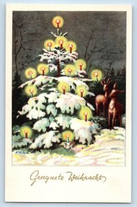 F. Milan Artist Signed Postcard Christmas Tree Candle Lights Deer Austria c1910s