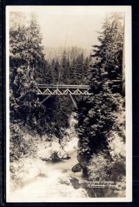 Capilano Canyon,N Vancouver,British Columbia,Canada