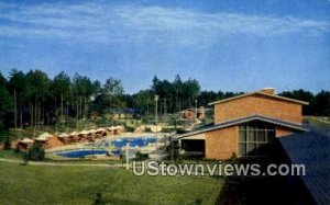 The Motor House  - Williamsburg, Virginia VA Postcard