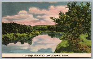 Postcard c1930s Greetings From Newmarket Ontario Canada Scenic View A