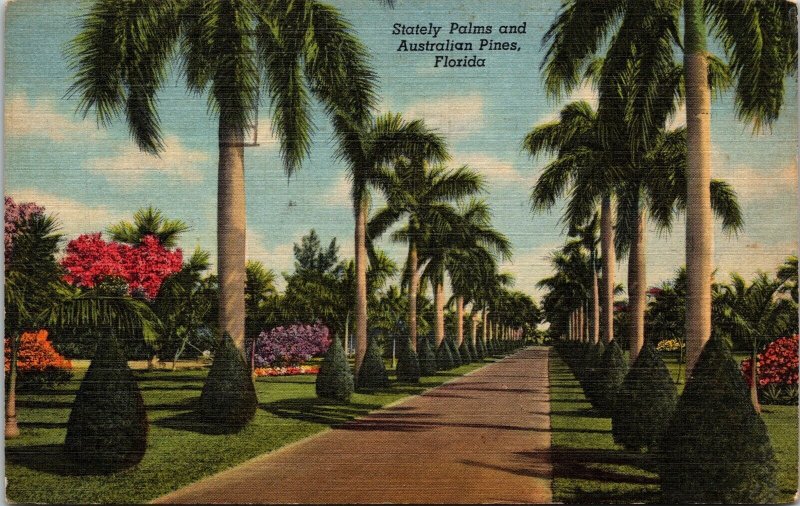 Stately & Australian Palm Trees Florida Plantlife Linen Cancel WOB Postcard 