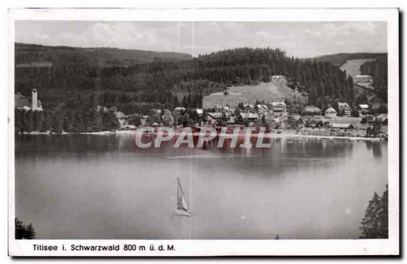  Ansichtskarten Berggasthof Gruner Baum Brandmatt I Schw 750m