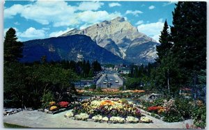 M-45328 Canadian Rockies Alpine gardens Banff Avenue & Cascade Mountain