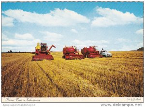 Canada Harvest Time In Saskatchewan