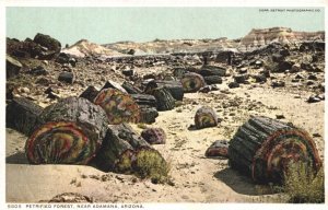 USA Petrified Forest Near Adamana Arizona Vintage Postcard 05.41